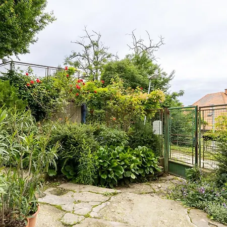 Palisady Charm - Stylish High Ceiling, Downtown, Parking *