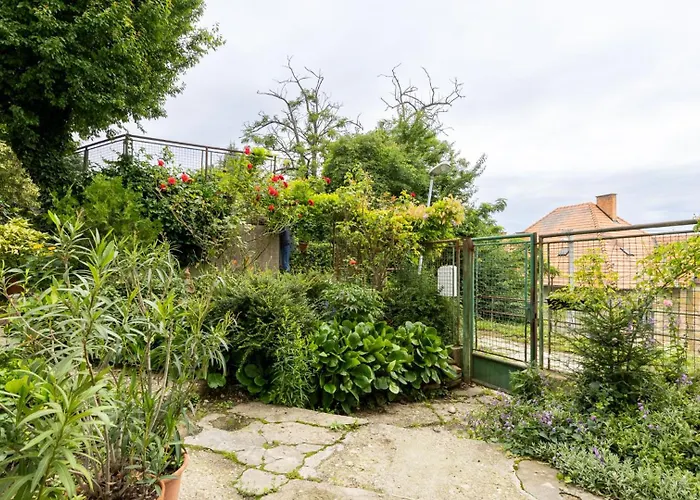 Palisady Charm - Stylish High Ceiling, Downtown, Parking *